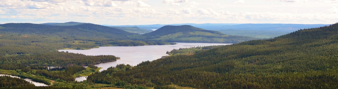 Vacker utsikt över gransluttningar och vatten i Norra Västerbotten.
